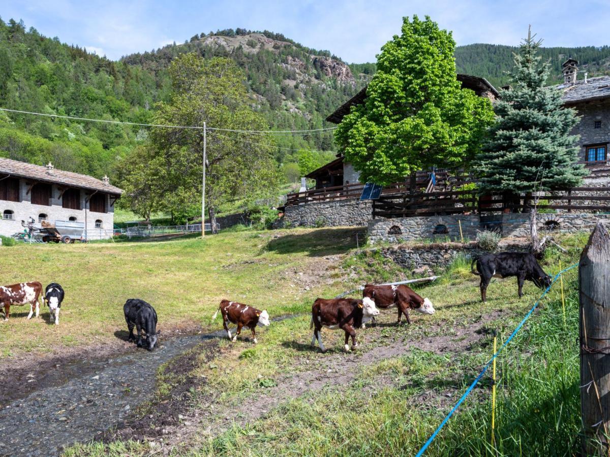 Holiday Home Maison Meynet By Interhome Sarre Dış mekan fotoğraf